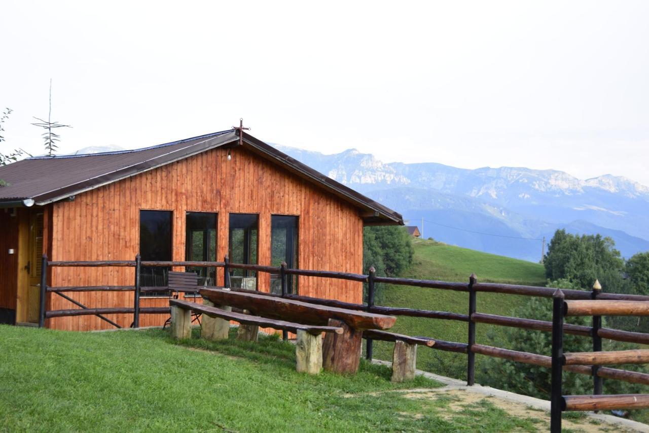 Cabana Colnic Hotel Măgura Eksteriør billede