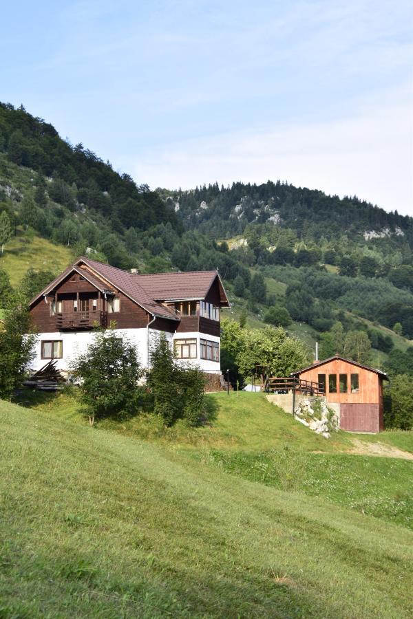 Cabana Colnic Hotel Măgura Eksteriør billede