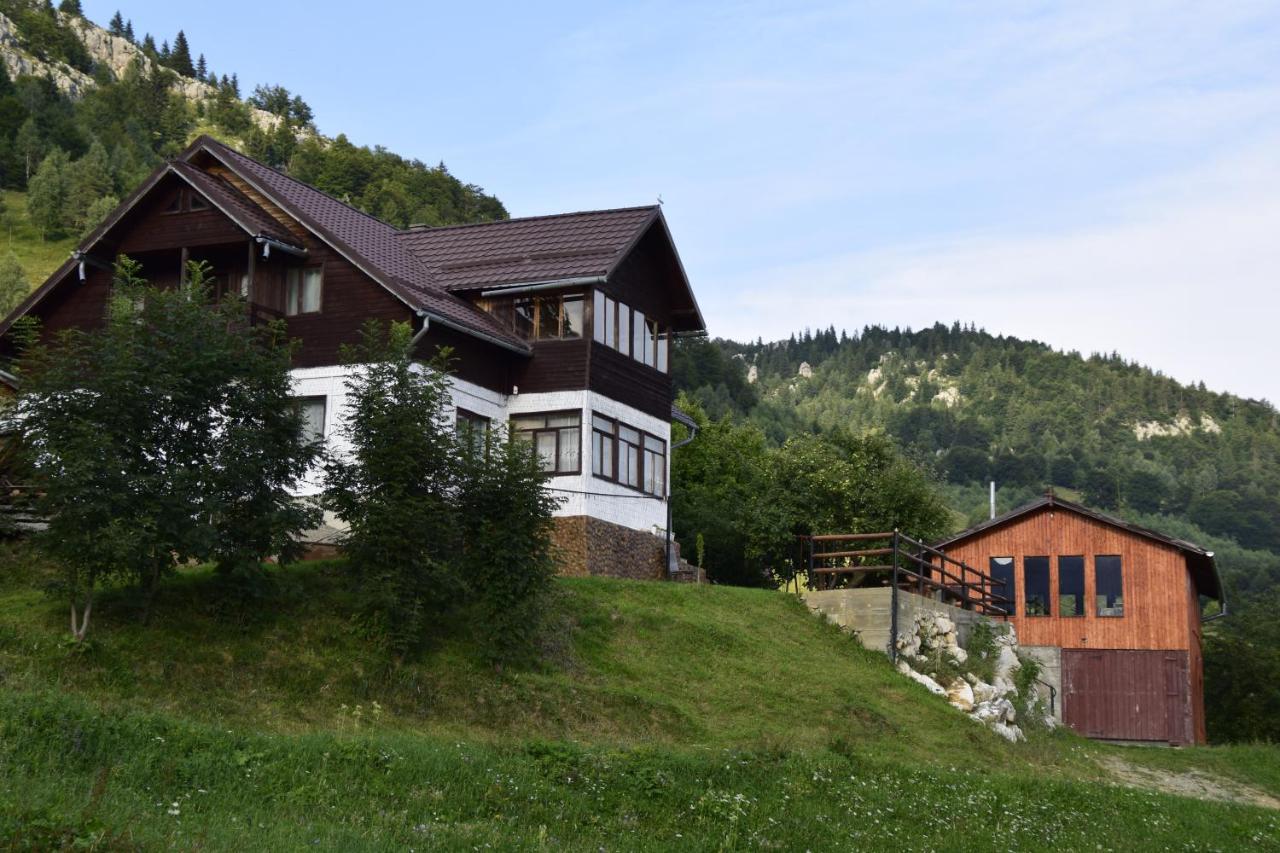 Cabana Colnic Hotel Măgura Eksteriør billede